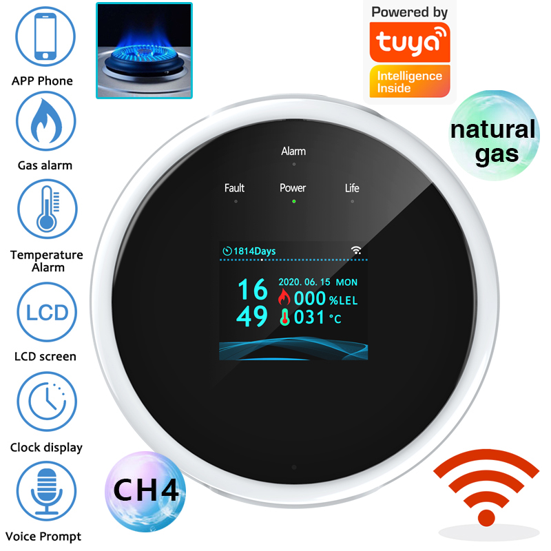 Home Security Network - 2.4G WiFi Gas Alarm Sensor Combustible