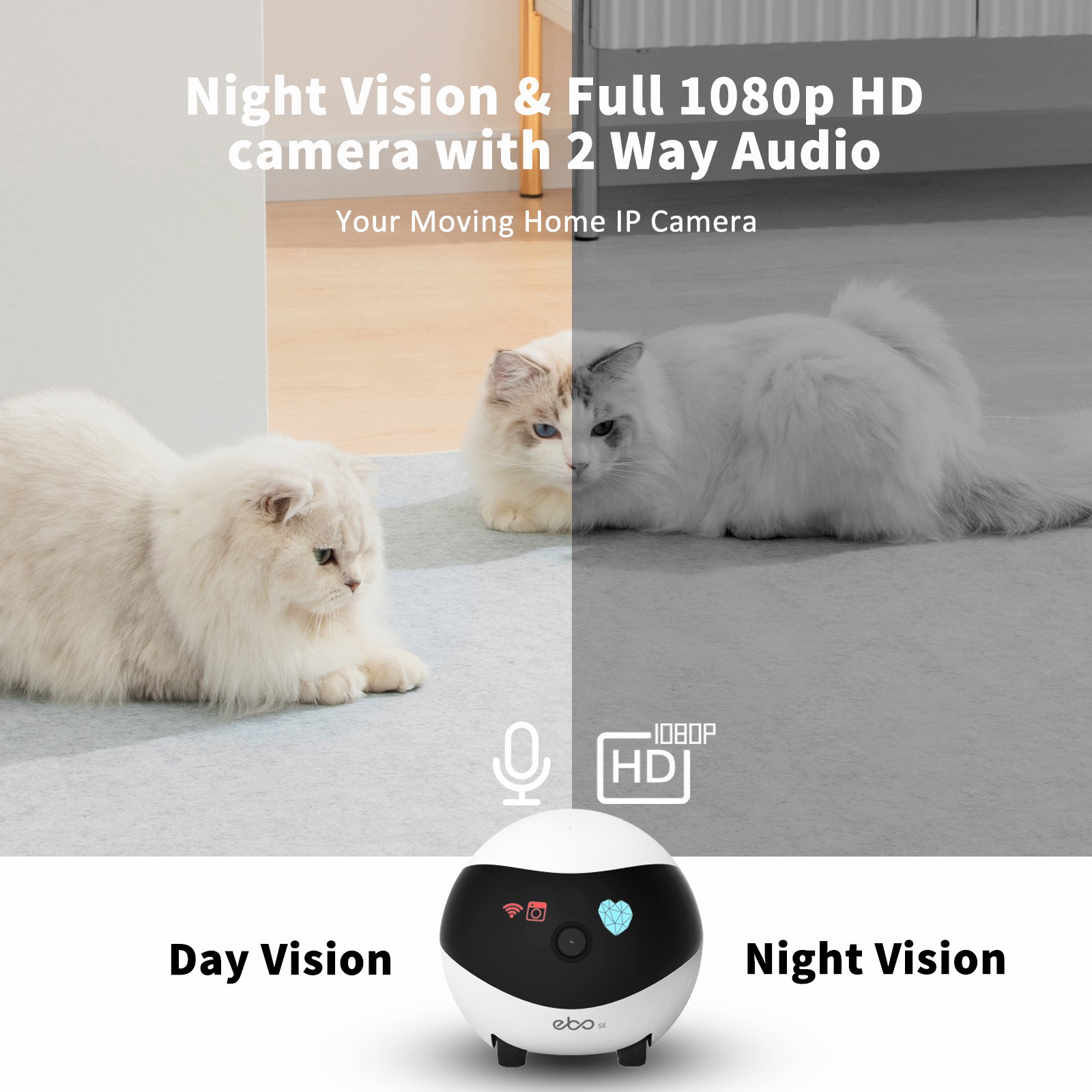 EBO SE Smart Home Robot Compan - Home Security Robots review and price
