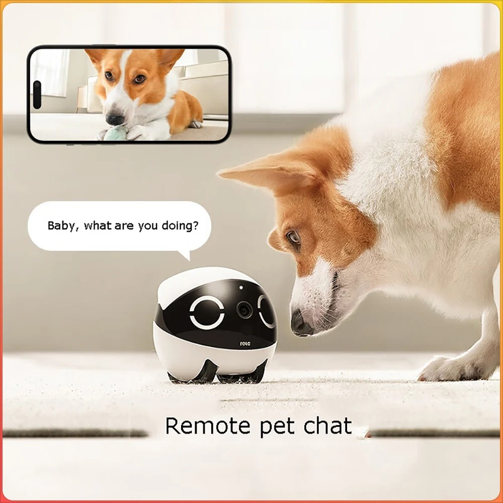 Home Security Pet Tumbler Desi - Home Security Robots review and price