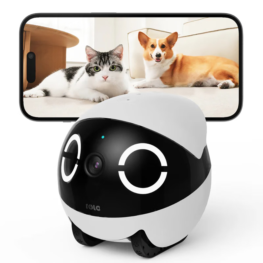 Home Security Pet Tumbler Desi - Home Security Robots review and price