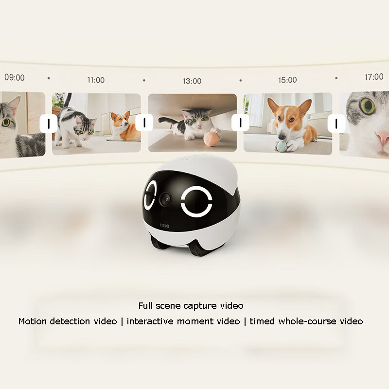 Home Security Pet Tumbler Desi - Home Security Robots review and price