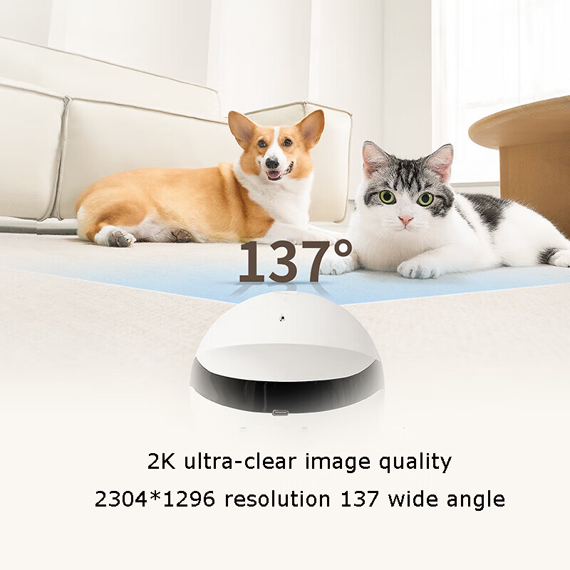 Home Security Pet Tumbler Desi - Home Security Robots review and price